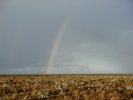 Rainbows are not always a good sign