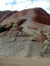 The climb