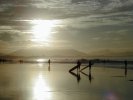 Surfers