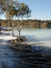 Lake McKenzie