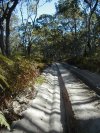 Rough dirt track