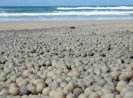 Sandworm droppings :-)
