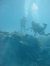 Introductional dive