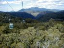 Skyrail to Kuranda