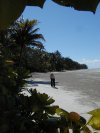 Tropical beach
