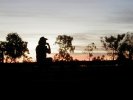Aussie cowboy at the rodeo