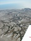 Desert and mangroves