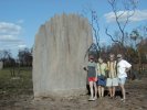 Magnetic termite mound