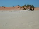 Aboriginal burial site