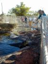 Feeding at Broome Crocodile Park