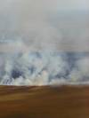 Bushfire