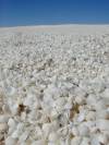 June 8th 1999: Shell Beach